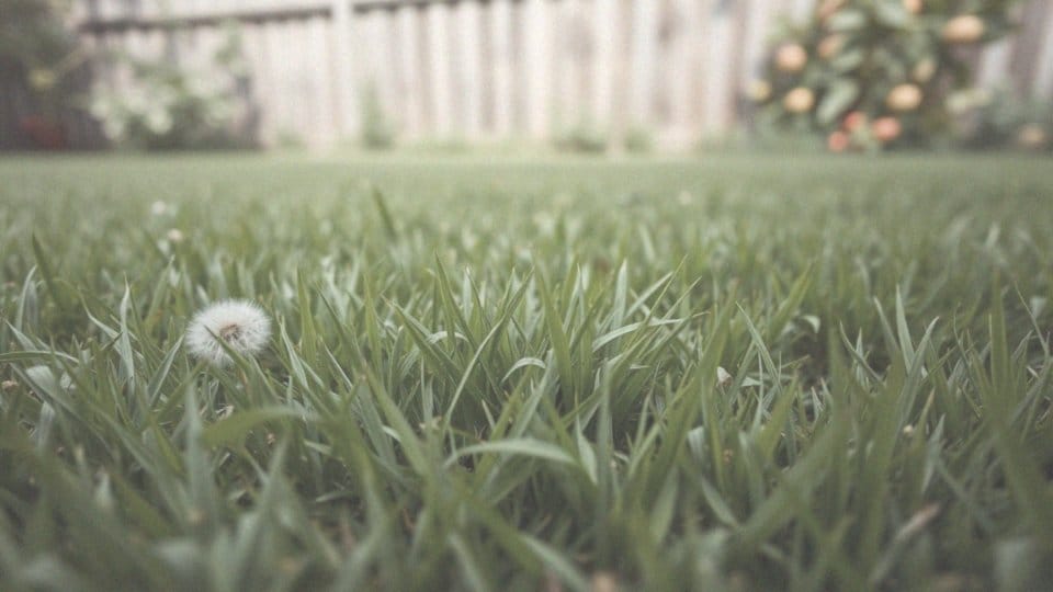 Jak pozbyć się chwastów z trawnika? Skuteczne metody i porady