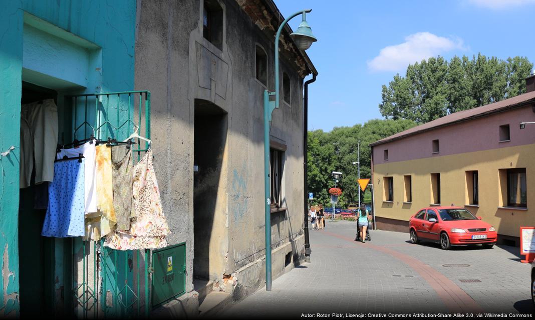 Obowiązkowe szczepienia psów przeciwko wściekliźnie w Lublinie
