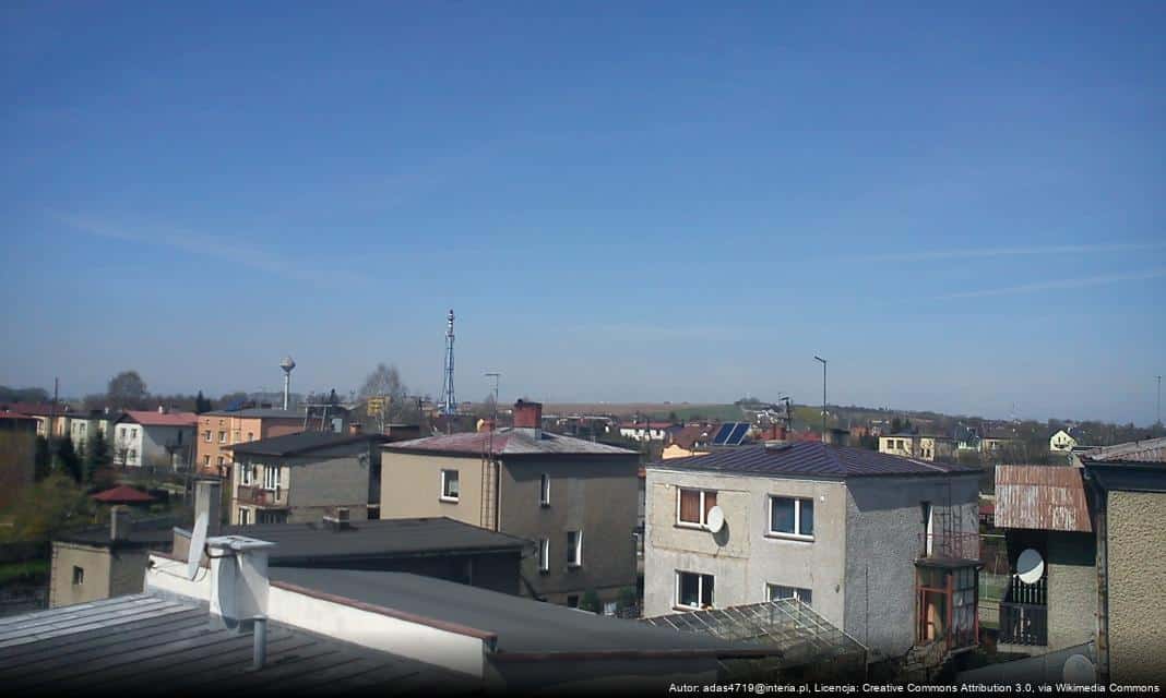 Wizyta Konsul Generalnej USA w Lublińcu