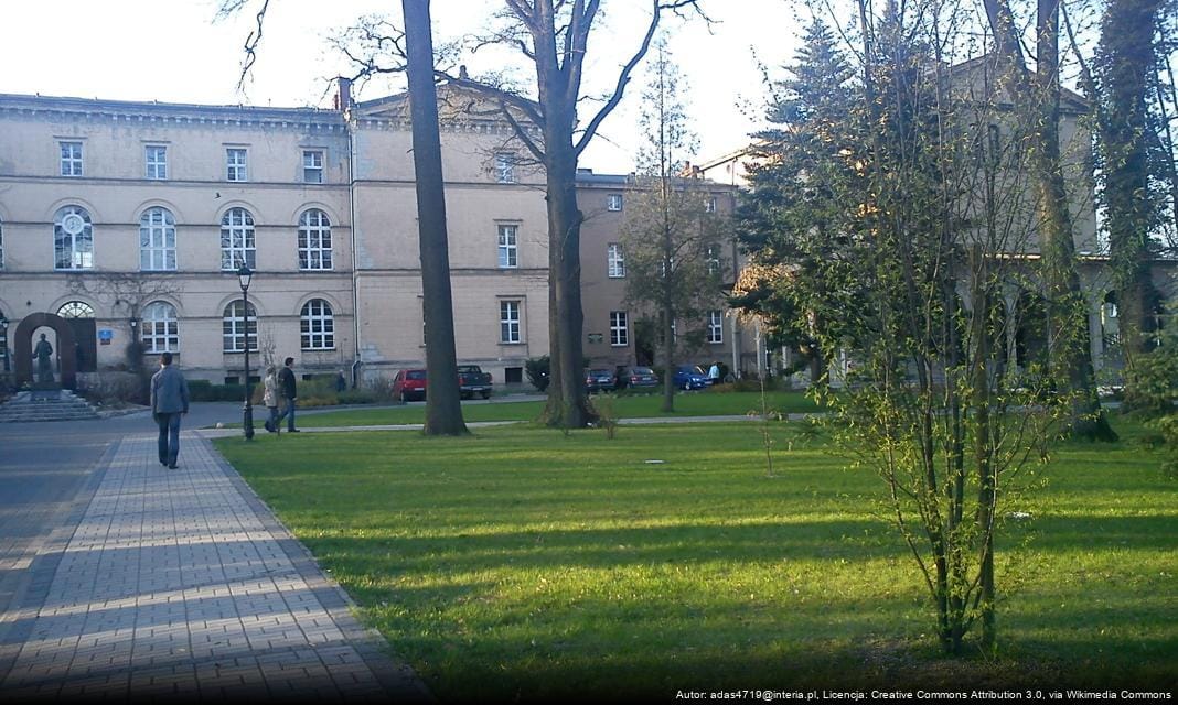 Nowa edycja programu „Złota Rączka” dla seniorów w Lublińcu