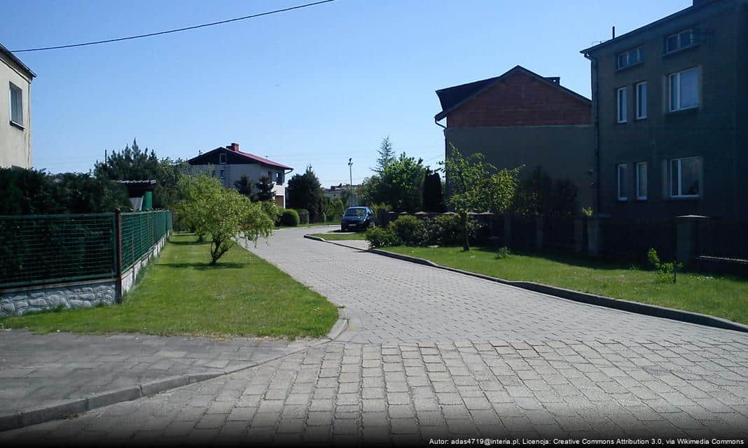 Spotkanie z Ekspertami w Zakresie Zieleni Miejskiej w Lublińcu