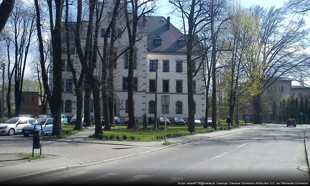 Współpraca mieszkańców w tworzeniu Miejskiego Planu Adaptacji do Zmian Klimatu