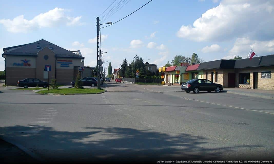 Decyzja o wycince wierzby z Małego Rynku w Lublińcu