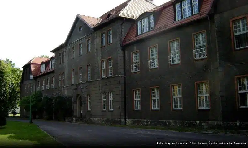 Wojewódzki Szpital Neuropsychiatryczny im. dr. Emila Cyrana w Lublińcu