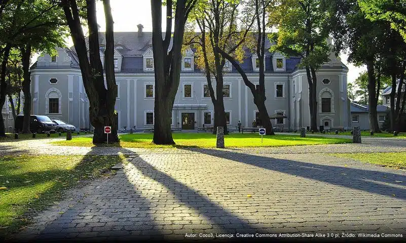 Zamek w Lublińcu